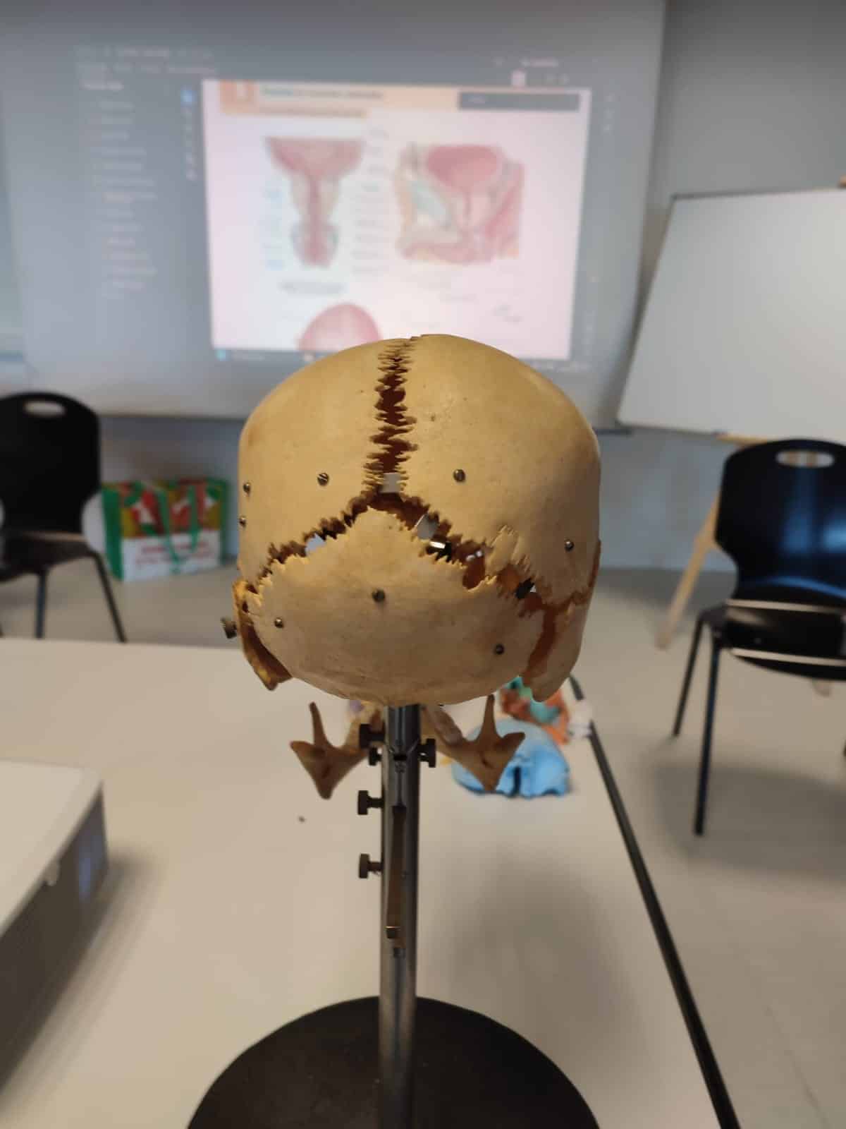 whatsapp image 2025 10 31 at 11.01.22 (1)